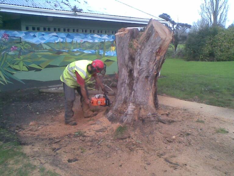 aborist-aborcaretm-stump-grinding-1