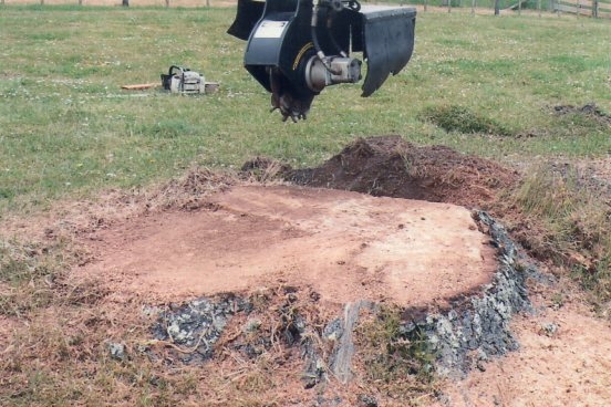 aborist-aborcaretm-stump-grinding-3