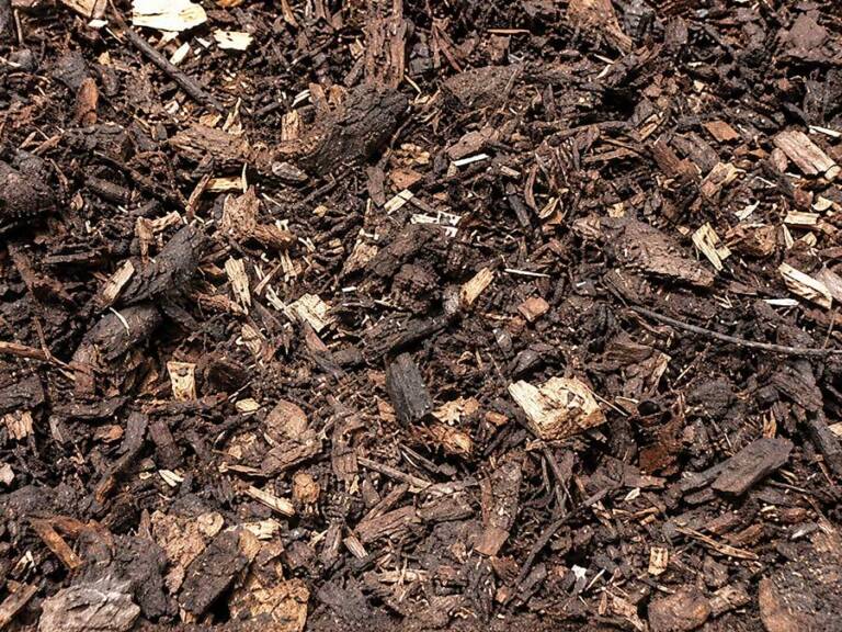 mulch1