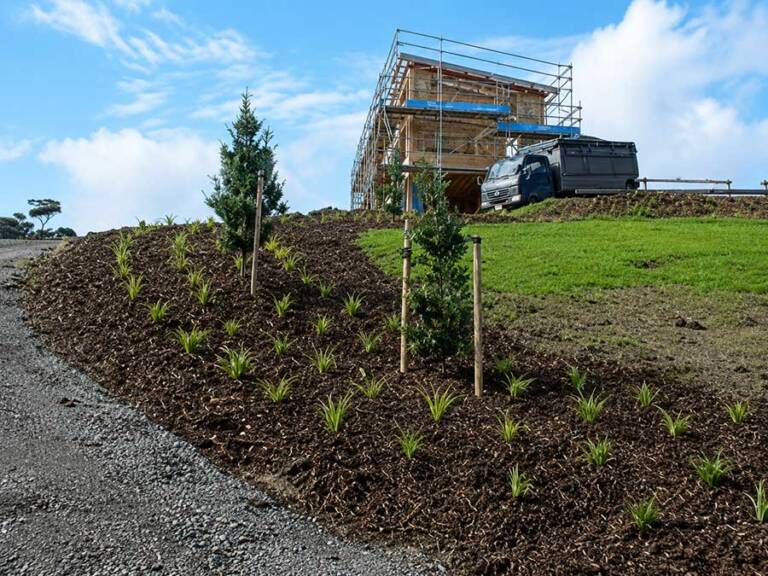 mulch2