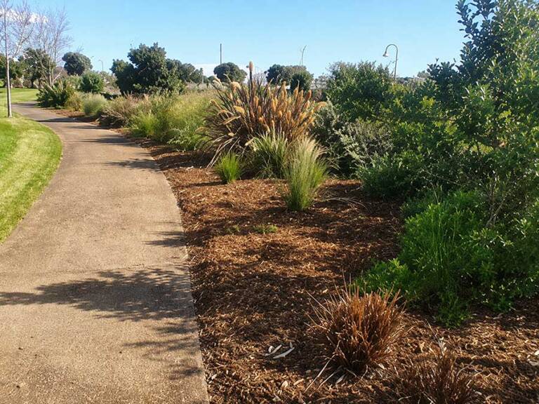 mulch3