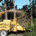Welcome to ArborCare Tree Maintenance