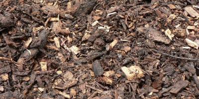 mulch