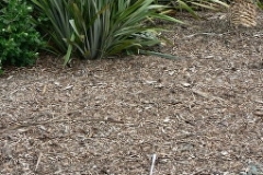 aborist-aborcaretm-mulch-1