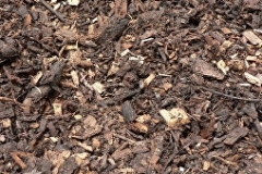 aborist-aborcaretm-mulch-2
