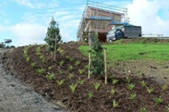 aborist-aborcaretm-mulch-3