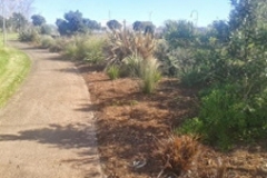 aborist-aborcaretm-mulch-4