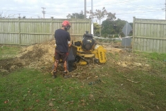 aborist-aborcaretm-stump-grinding-5