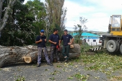 aborist-aborcaretm-tree-removal-2