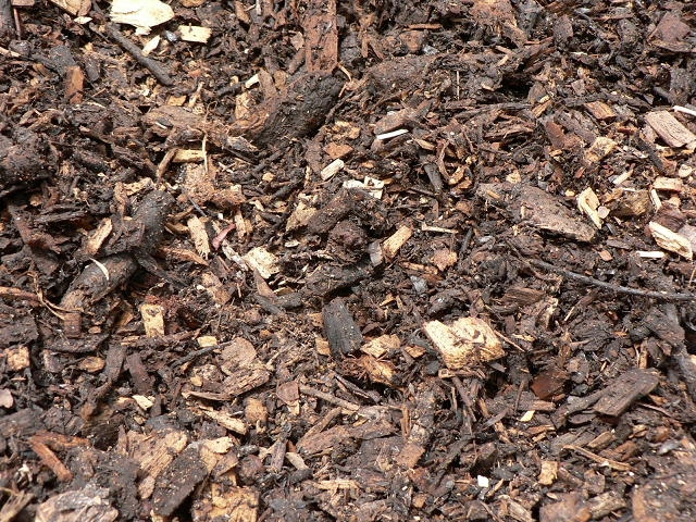 mulch